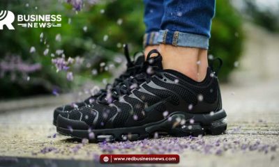 Nike Air Max Plus