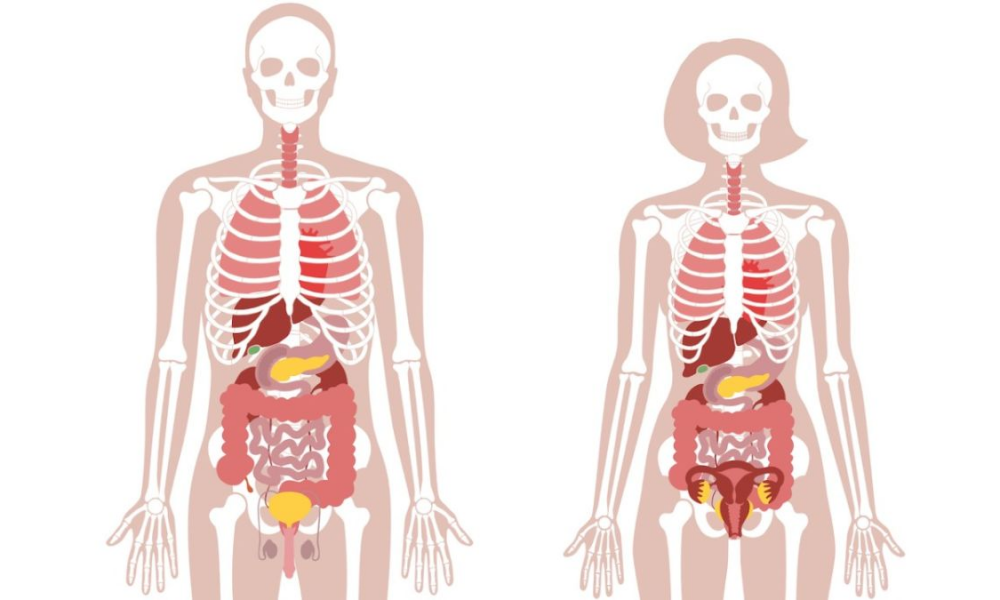 Humanor not? visual data 2