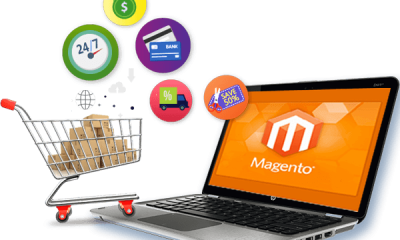 Magento Web Development