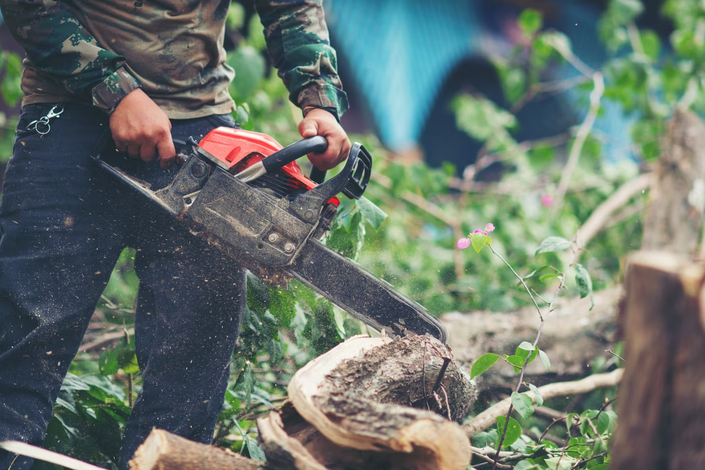 7 Benefits Of Hiring a Professional Tree Removal Service