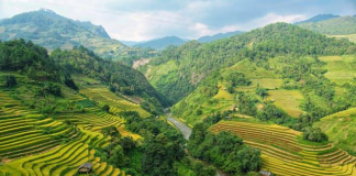 Ooty Honeymoon Packages: A Romantic Escape Awaits You