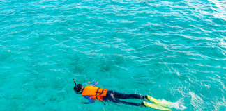 Why Puerto Rico Snorkeling Is a Must for Ocean Lovers?